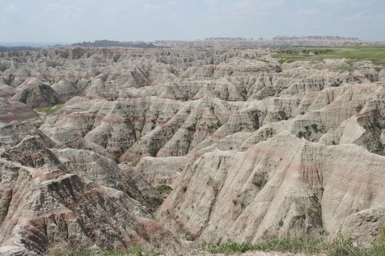 IMG_3907.JPG