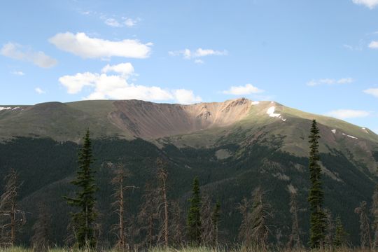 IMG_4650.JPG