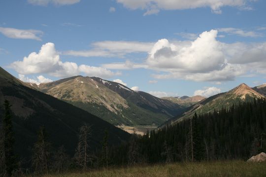IMG_4651.JPG