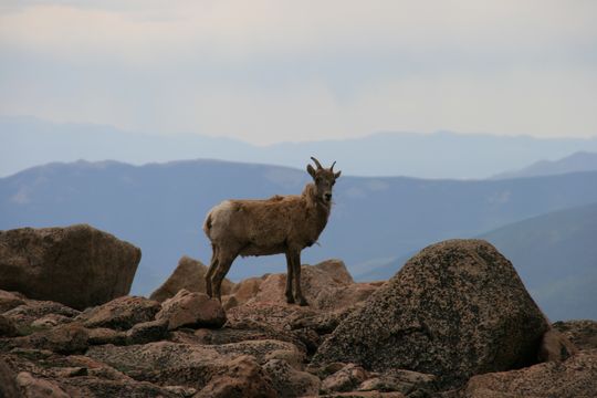 IMG_4732.JPG