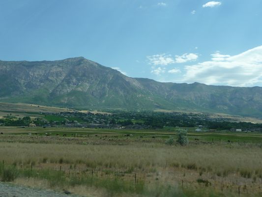 P1170161.JPG