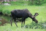 IMG_3764.JPG