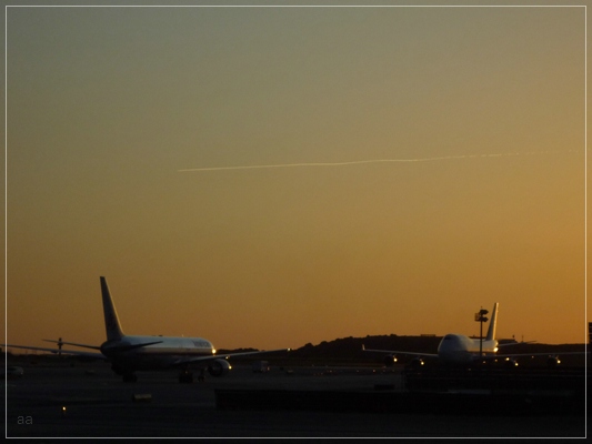 LAX @ sunset
