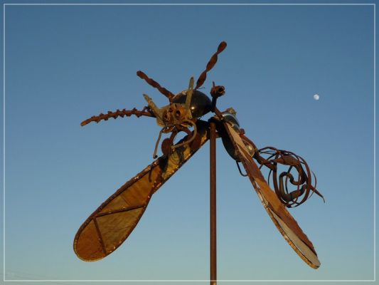 Terlingua_i.jpg