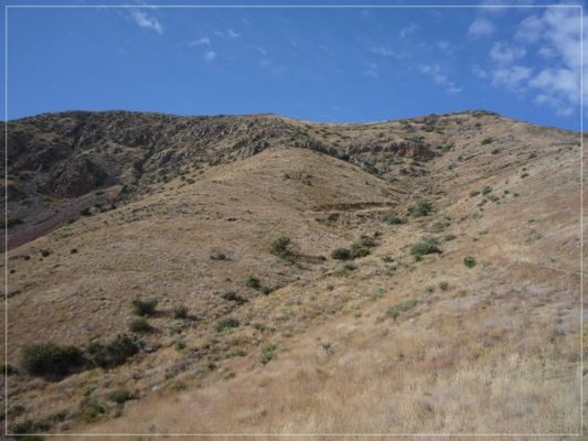 north_franklin_06.jpg