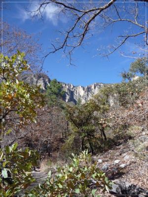 McKittrick Canyon
