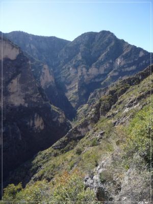 McKittrick Canyon
