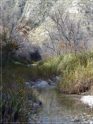 McKittrick Canyon
