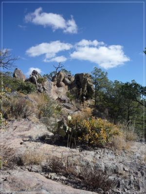 Lost Mine Trail
