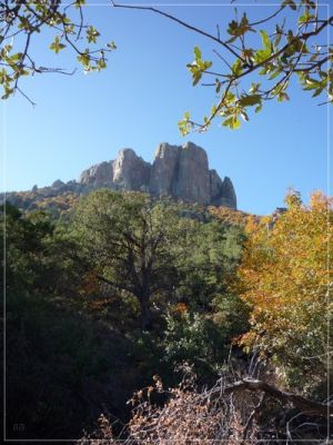 Lost Mine Trail
