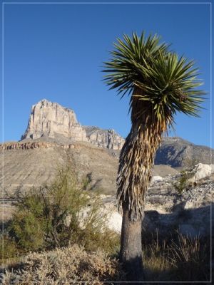 Gadalupe Peak
