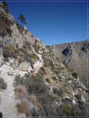 Gadalupe Peak

