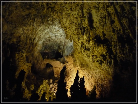 Carlsbad Caverns
