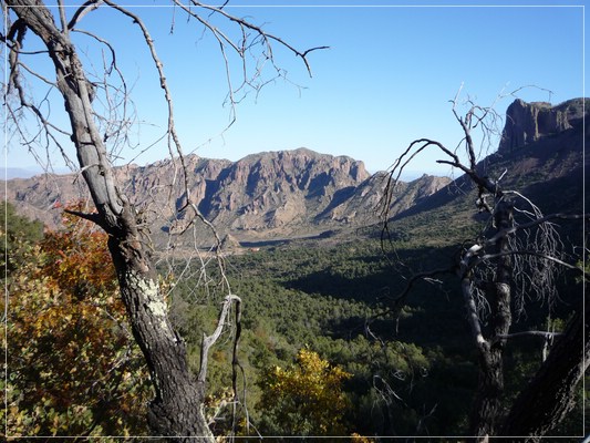 South Rim
