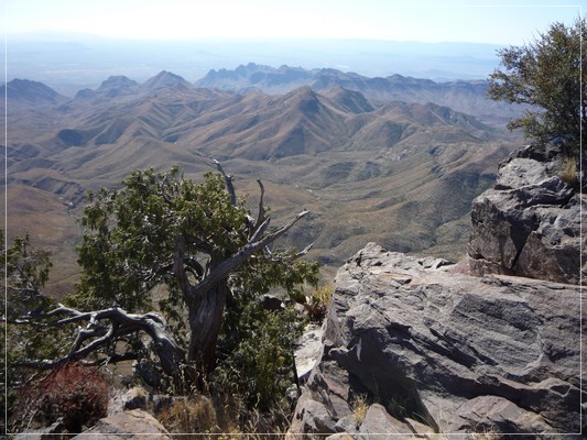 South Rim
