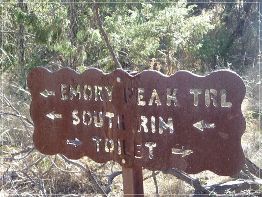 South Rim
