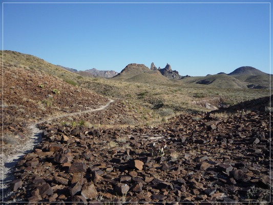 Mule Ears Spring
