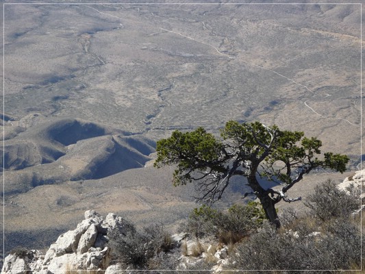 Gadalupe Peak

