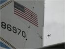 fly20.jpg