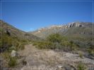 McKittrick Canyon