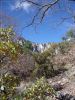 McKittrick Canyon
