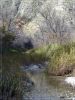 McKittrick Canyon