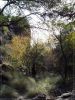 Modesta Canyon