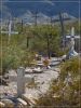 Terlingua