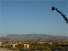 Terlingua
