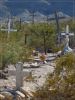 Terlingua