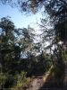 South Rim