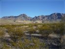 Chisos Mountains