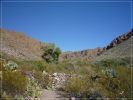 Mule Ears Spring