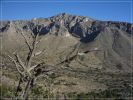 Gadalupe Peak