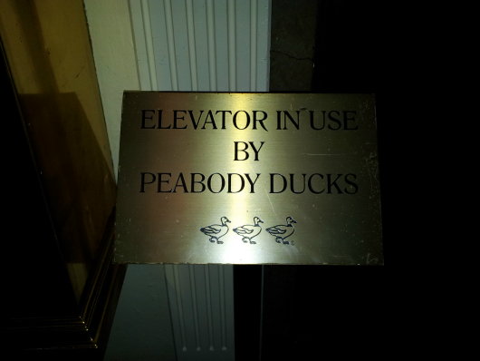 Ducklift.jpg