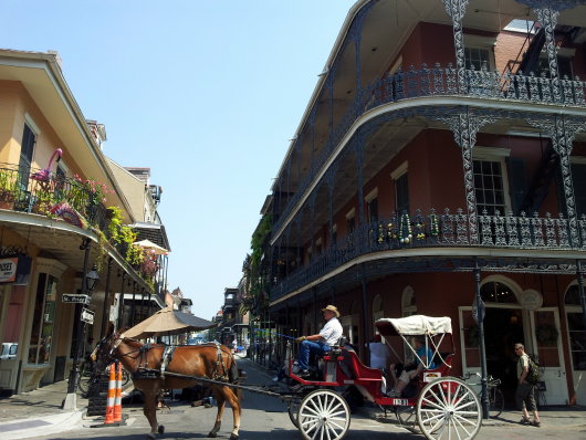 NOLA3.jpg