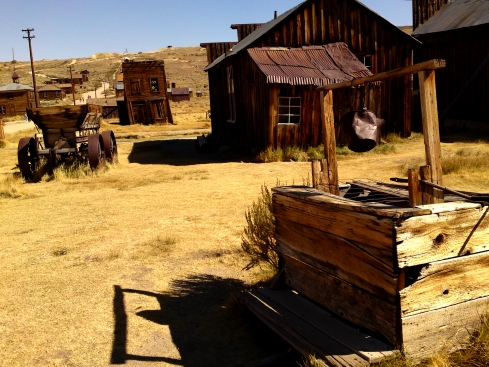 Bodie
