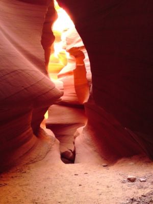 lowerantelope
