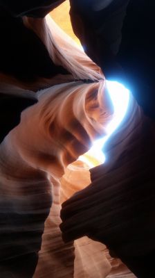 Antelope1.jpg