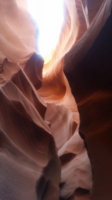 Antelope2.jpg