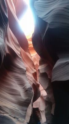 Antelope3.jpg
