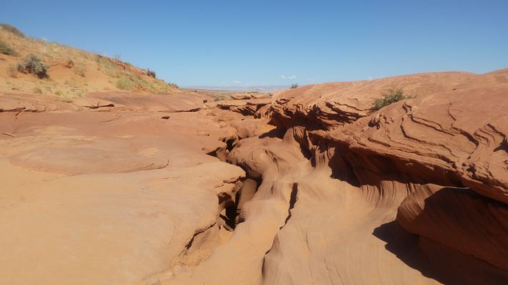 Antelope5.jpg