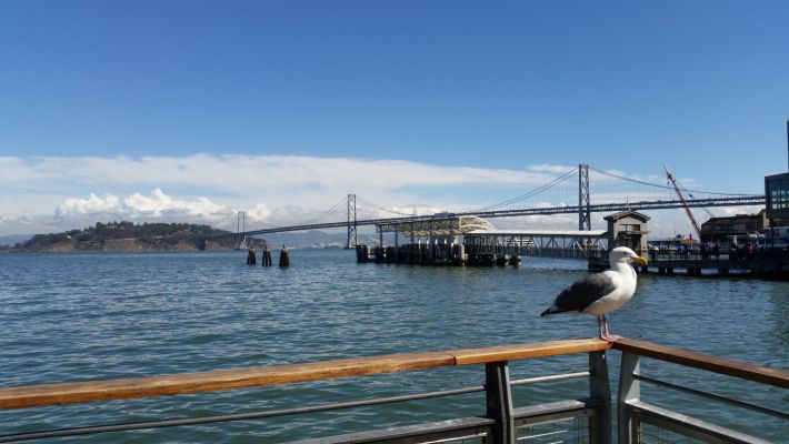 BayView.jpg