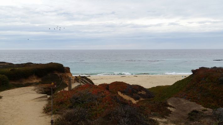BigSur7.jpg