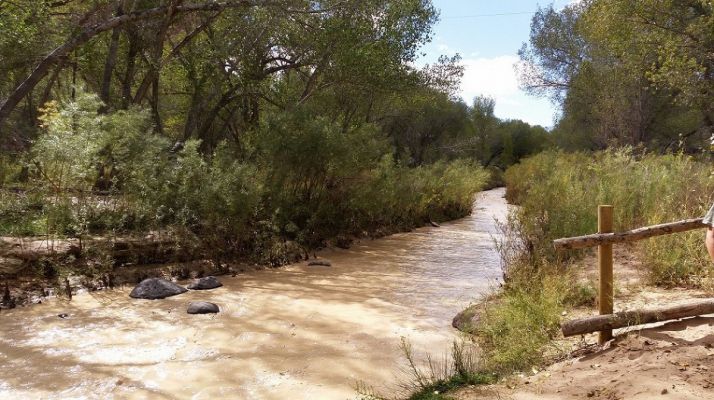 Escalantetrail.jpg