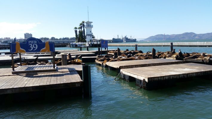Pier39.jpg