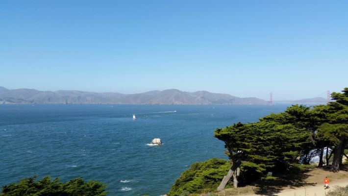 PointLobos.jpg