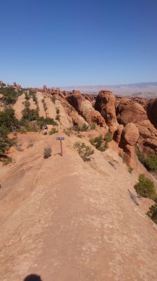 Trail3.jpg
