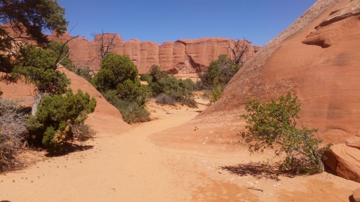 Trail8.jpg