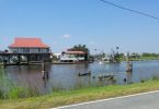 Bayou1.jpg